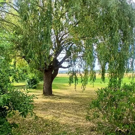 Domaine De Flore - Le Quercy منزل ريفي *